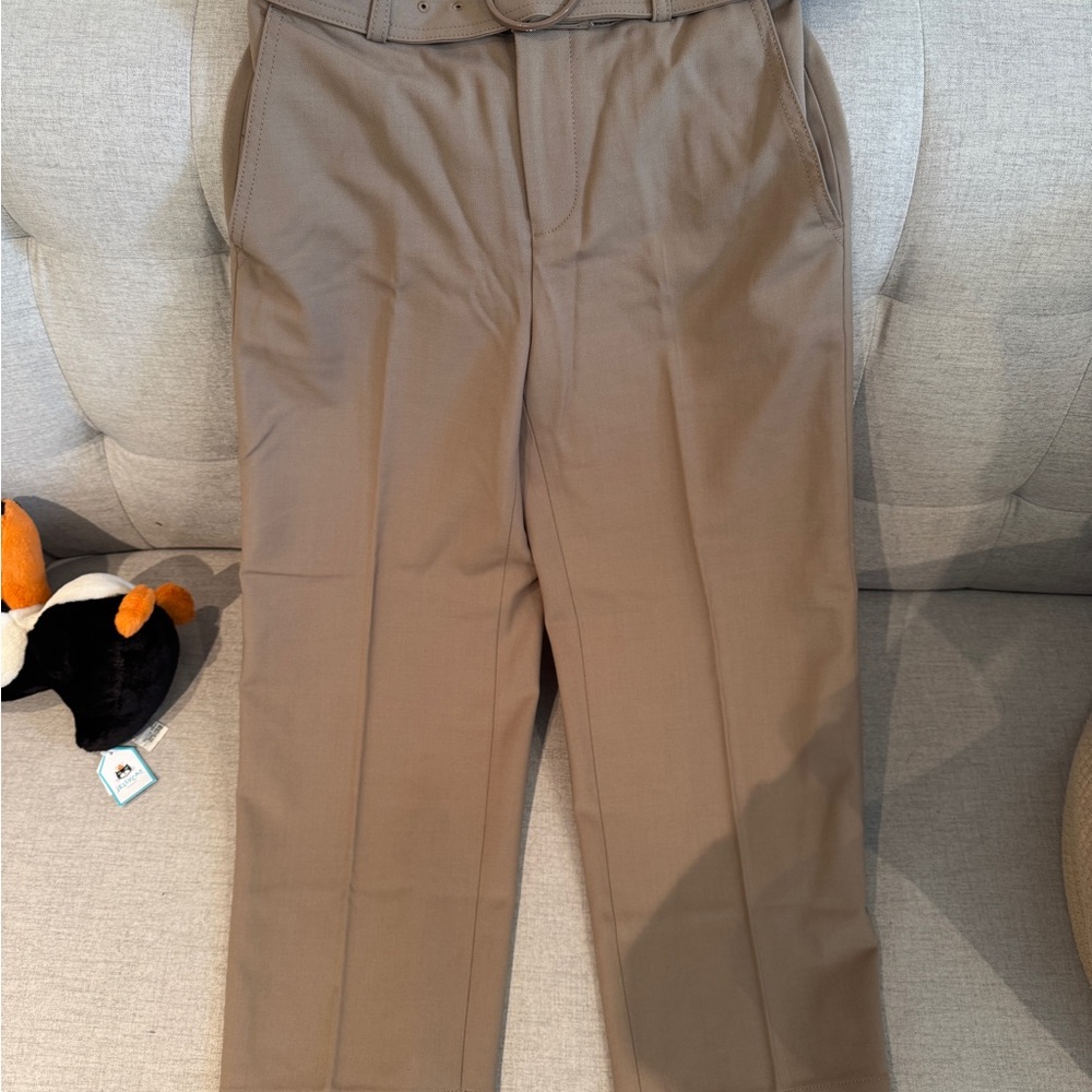 Club Monaco Tan Ankle Cropped Dress Pants